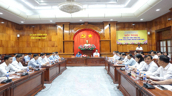 Tổng kết công tác Tổng điều tra nông thôn, nông nghiệp năm 2025