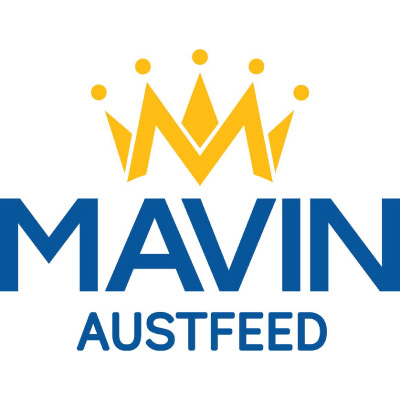 mavin