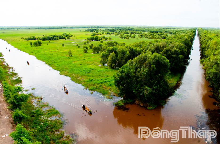 Vườn Quốc gia Tràm Chim. (Ảnh: THANH PHONG)