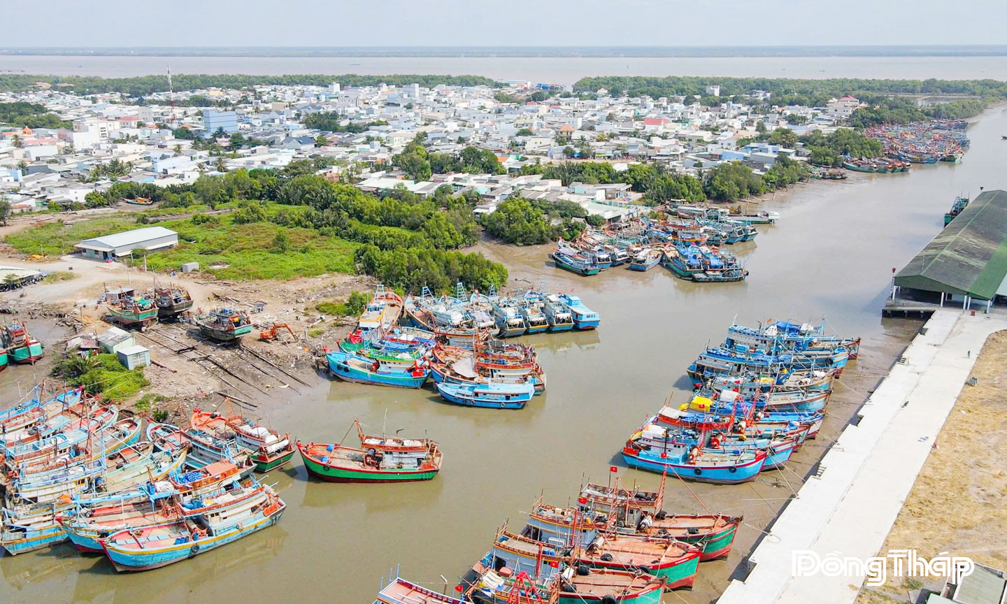 Quyết liệt ngăn chặn khai thác hải sản bất hợp pháp trên cả nước