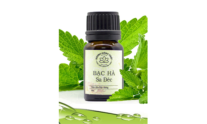Tinh dầu Bạc hà Sa Đéc