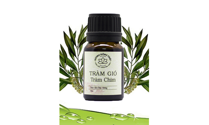 Tinh  dầu  Tràm  Gió  Tràm Chim