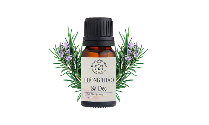 Tinh dầu Hương Thảo Sa Đéc