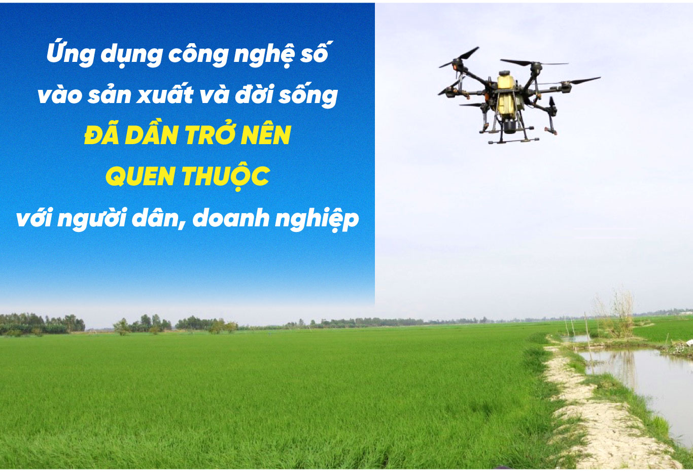 tri thuc hoa nong dan