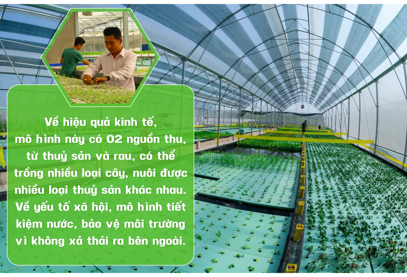 tri thuc hoa nong dan