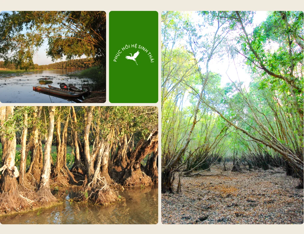 tri thuc hoa nong dan