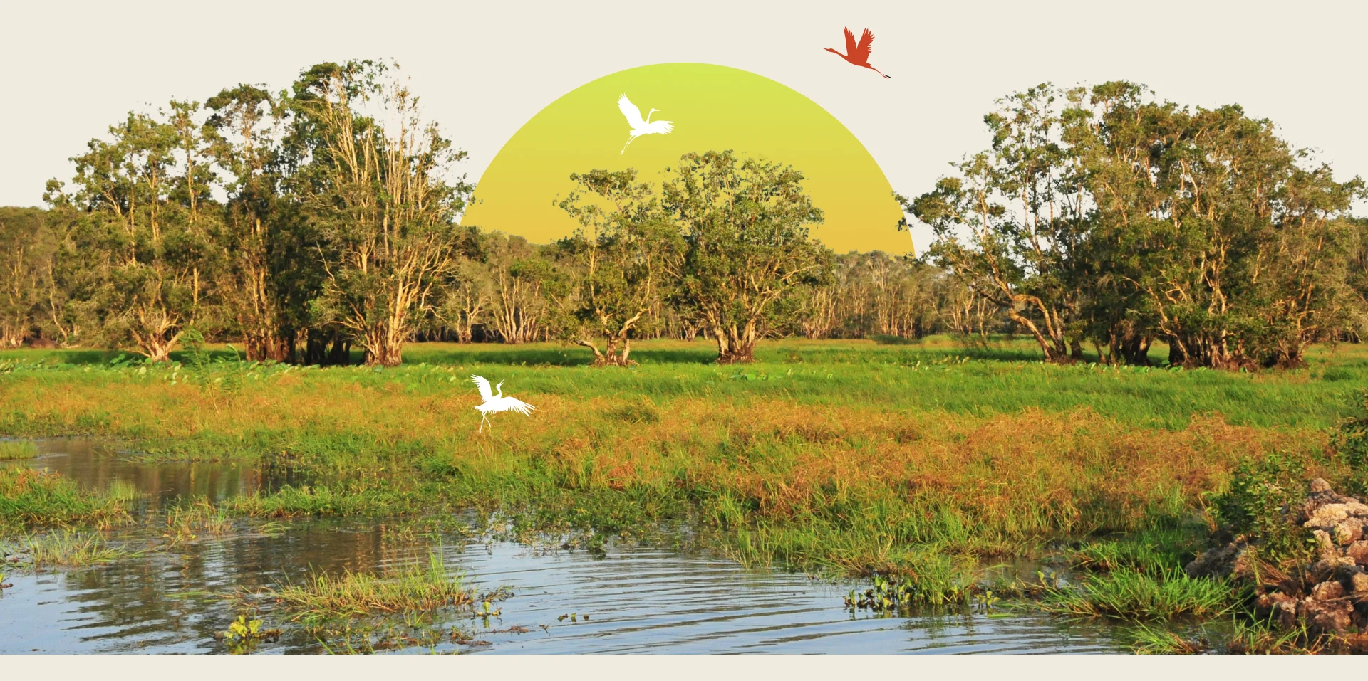 tri thuc hoa nong dan