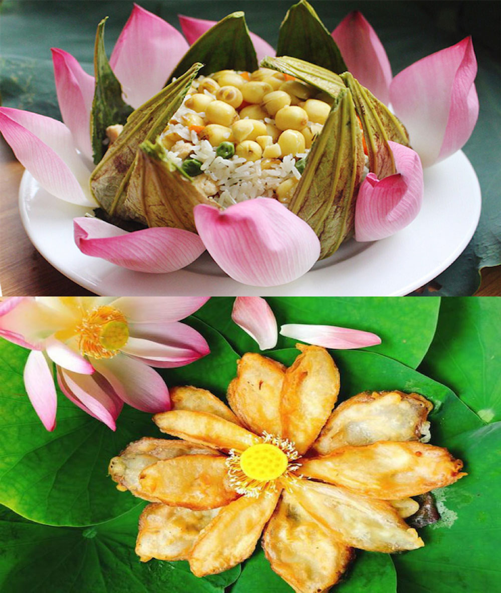 tri thuc hoa nong dan