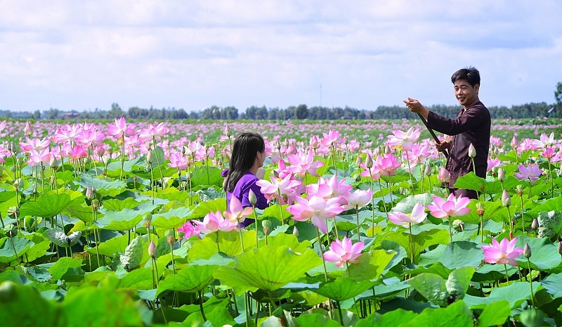 tour du lịch