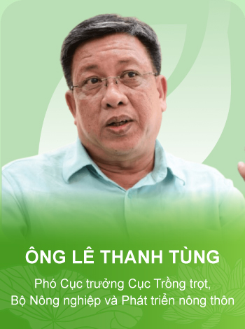 tieu de