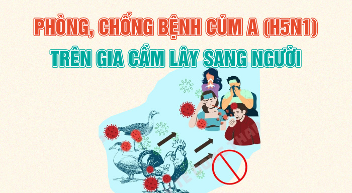 [Infographic] Phòng, chống bệnh cúm A (H5N1) trên gia cầm lây sang người