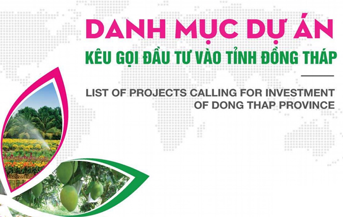 tieu de