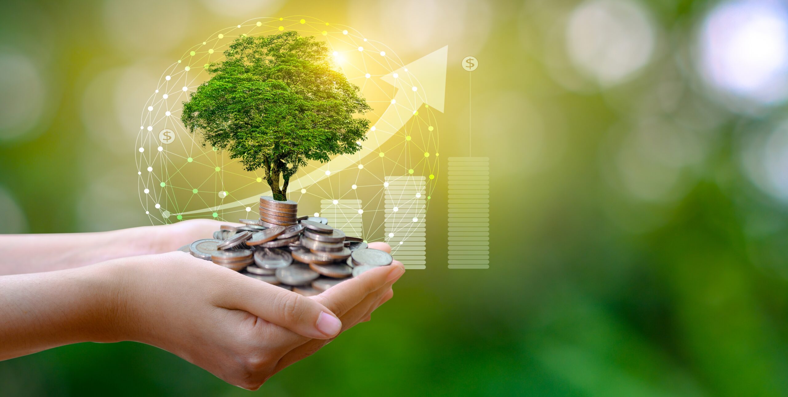 Phiên toàn thể - Diễn đàn Khởi nghiệp Đồng bằng sông Cửu Long - Lần II năm 2024 - “Kinh tế xanh - Động lực mới cho phát triển”